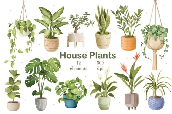 Elevating Digital Design with the Watercolor Houseplants Clipart Bundle