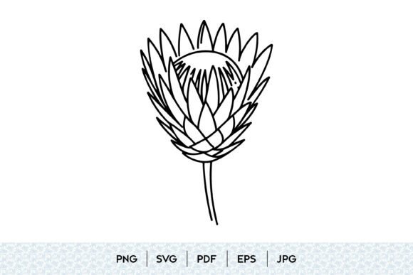 Integrating Protea Flower Line Art into Modern Creative and Business Workflows