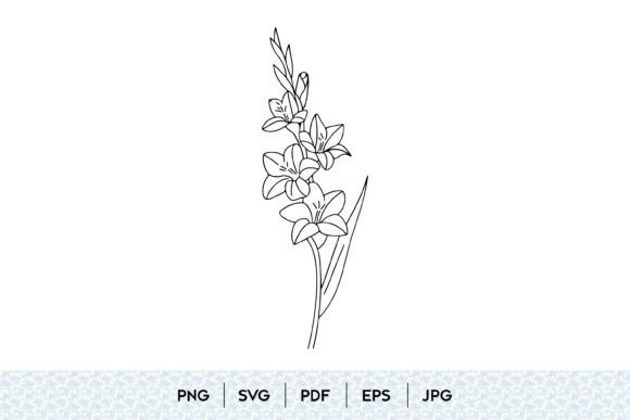 Mastering Gladiolus Flower Botanical Line Art for Design and Creativity