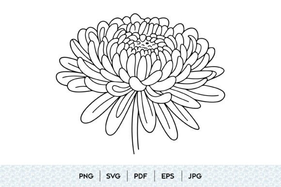 Refining Digital Craftsmanship: The Strategic Value of Chrysanthemum Flower Line Art SVG in Modern Design
